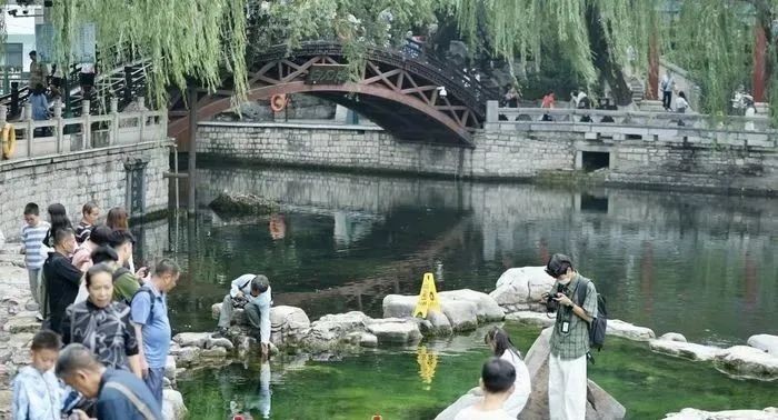 泉涌荷開正當時?，盛夏的濟南甚“荷”我意