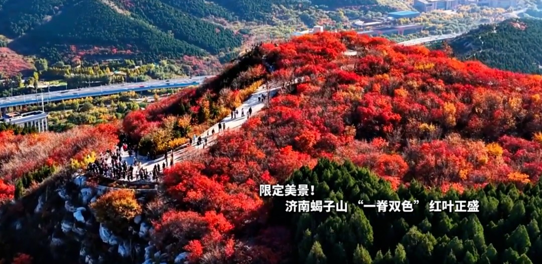 《國(guó)家地理》推薦！濟(jì)南又出圈了